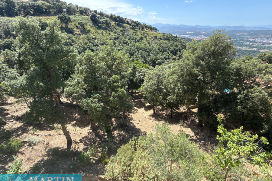 Maison à vendre à Le boulou — Vue nature — photo 12