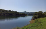 Terrain à vendre à La salvetat-sur-agout — Vue lac — photo 17