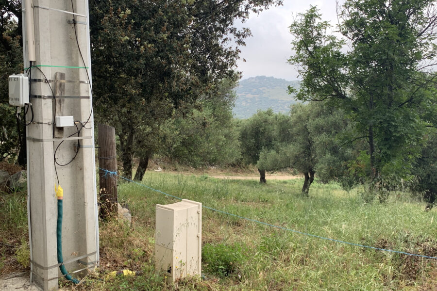 Terrain à vendre à Muro — Vue nature — photo 6