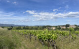 Terrain à vendre à Popian — Vue vignes — photo 2