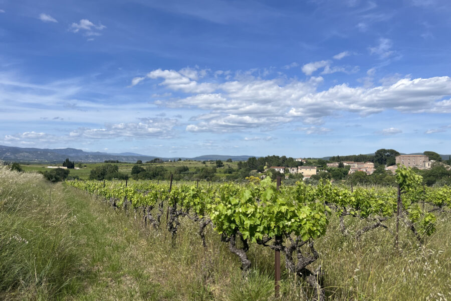Terrain à vendre à Popian — Vue vignes — photo 2