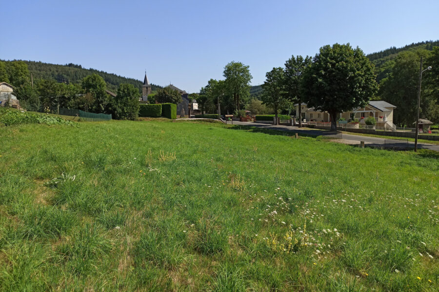 Terrain à vendre à La salvetat-sur-agout — Vue lac — photo 7
