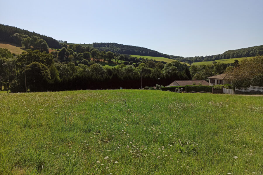 Terrain à vendre à La salvetat-sur-agout — Vue lac — photo 6