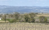 Terrain à vendre à Popian — Vue vignes — photo 1