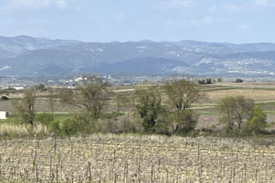 Terrain à vendre à Popian