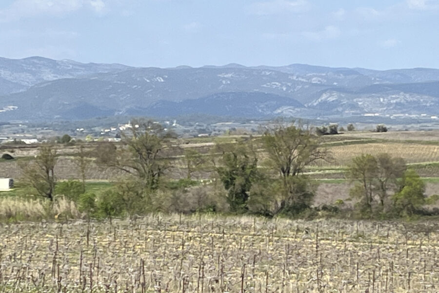 Terrain à vendre à Popian — Vue vignes — photo 1