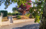 Maison à vendre à Bourdeilles — Vue nature — photo 3