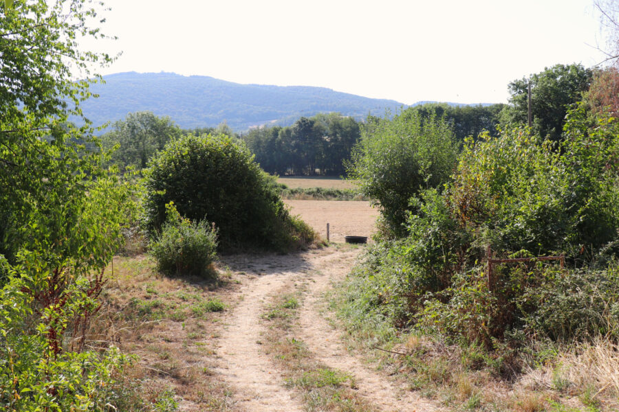 Maison à vendre à Mesvres — Vue nature — photo 5