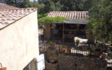 Maison à vendre à Carcès — Vue nature — photo 19