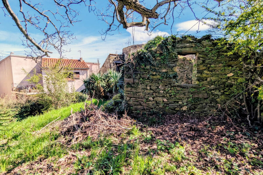 Maison à vendre à Lamalou-les-bains — Vue montagne — photo 7