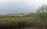 Maison à vendre à Guerquesalles — Vue nature — photo 17