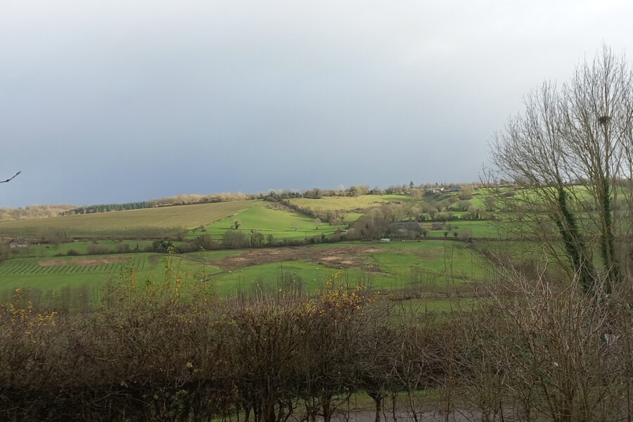 Maison à vendre à Guerquesalles — Vue nature — photo 17