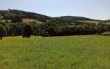 Terrain à vendre à La salvetat-sur-agout — Vue lac — photo 8