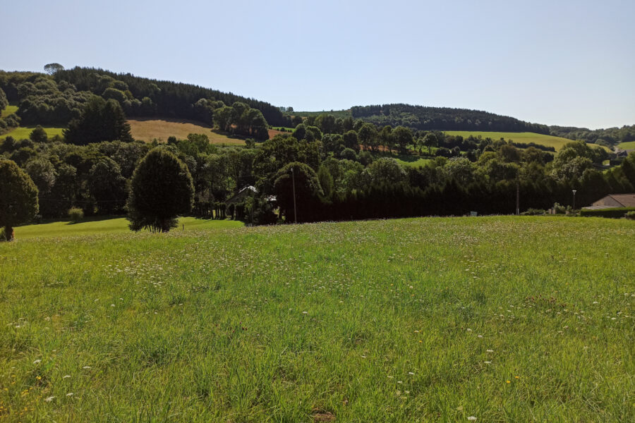 Terrain à vendre à La salvetat-sur-agout — Vue lac — photo 8
