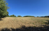 Terrain à vendre à Cernoy-en-berry — Vue nature — photo 2