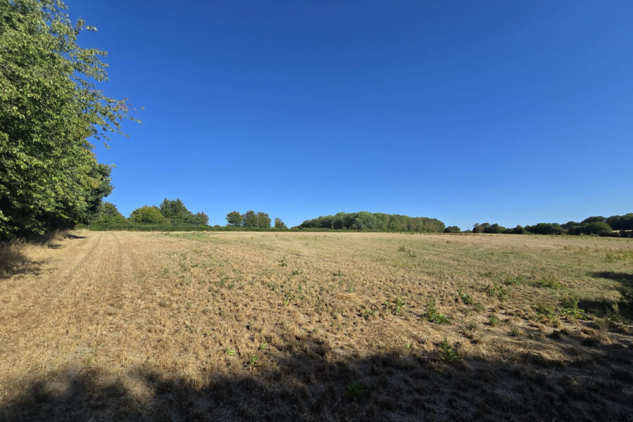 Terrain à vendre à Cernoy-en-berry — Vue nature — photo 2