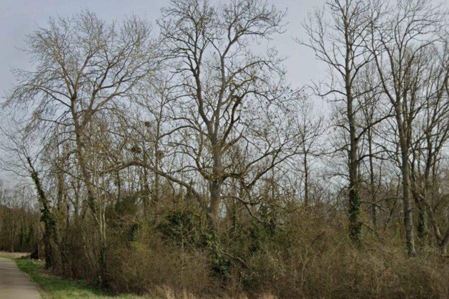 Terrain à vendre à Saint-florentin — Vue dégagée — photo 2