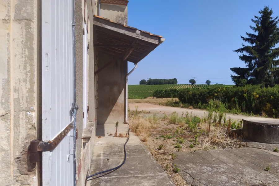 Maison à vendre à Caplong — Vue nature — photo 12
