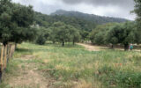 Terrain à vendre à Muro — Vue nature — photo 5