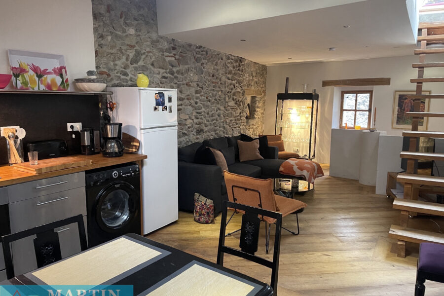 Maison à vendre à Céret — Vue montagne — photo 20