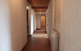 Maison à vendre à Caplong — Vue nature — photo 18