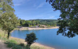 Terrain à vendre à La salvetat-sur-agout — Vue lac — photo 4