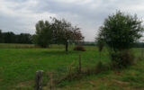 Maison à vendre à Saint-Étienne-sur-reyssouze — Vue nature — photo 5