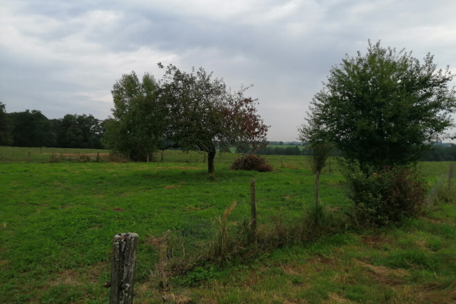 Maison à vendre à Saint-Étienne-sur-reyssouze — Vue nature — photo 5