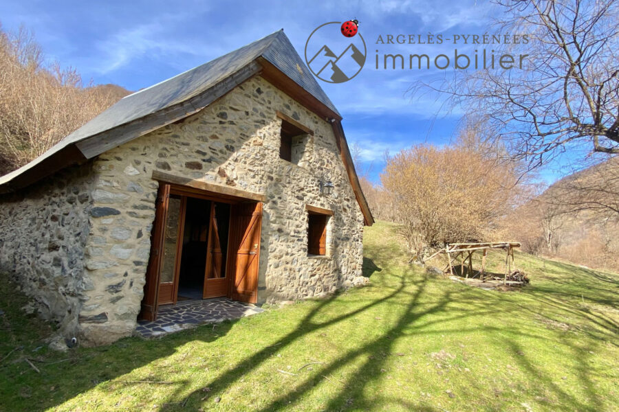 Maison à vendre à Argelès-gazost — Vue montagne — photo 2