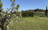 Terrain à vendre à Fouzilhon — Vue dégagée — photo 1