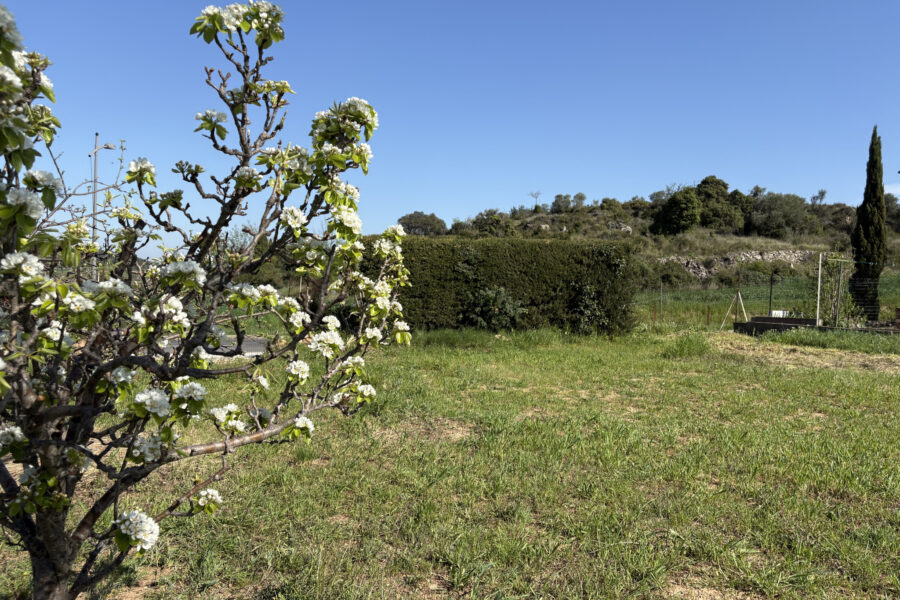 Terrain à vendre à Fouzilhon — Vue dégagée — photo 1
