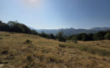 Maison à vendre à Arrens-marsous — Vue montagne — photo 10