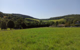 Terrain à vendre à La salvetat-sur-agout — Vue lac — photo 9