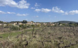 Terrain à vendre à Popian — Vue vignes — photo 8