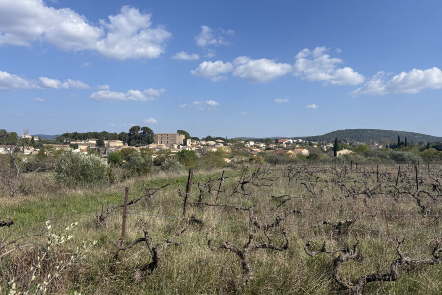 Terrain à vendre à Popian — Vue vignes — photo 8