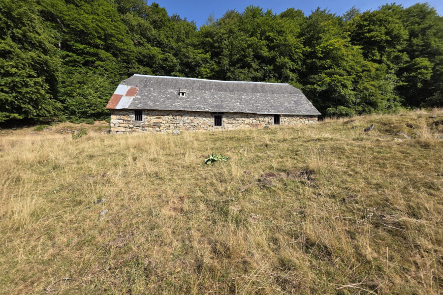 Maison à vendre à Arrens-marsous — Vue montagne — photo 9