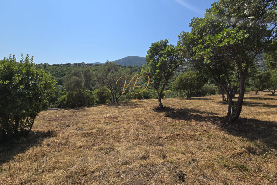 Terrain à vendre à Cavalaire-sur-mer — Vue mer — photo 2