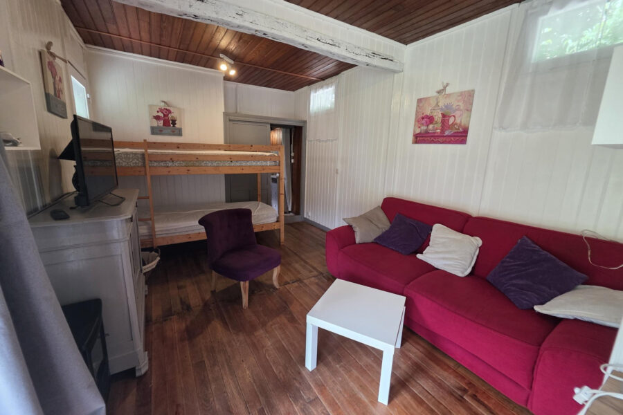 Maison à vendre à Luz-saint-sauveur — Vue montagne — photo 17