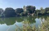Terrain à vendre à Les sables d&rsquo;olonne — Vue lac — photo 1
