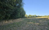 Terrain à vendre à Cernoy-en-berry — Vue nature — photo 4