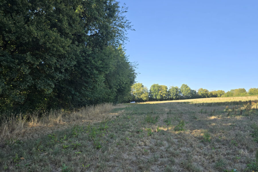 Terrain à vendre à Cernoy-en-berry — Vue nature — photo 4