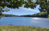 Terrain à vendre à La salvetat-sur-agout — Vue lac — photo 3