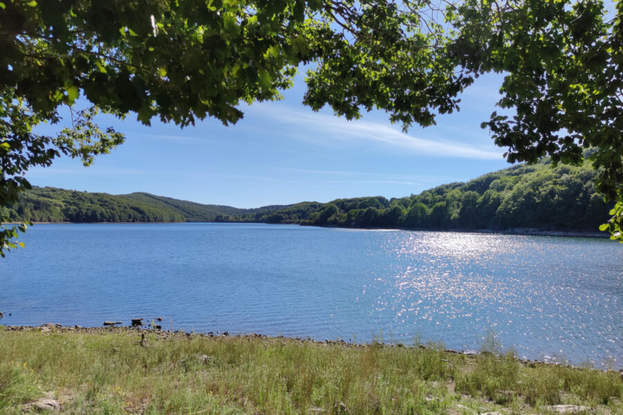 Terrain à vendre à La salvetat-sur-agout — Vue lac — photo 3