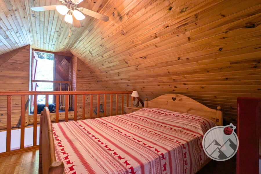 Maison à vendre à Argelès-gazost — Vue montagne — photo 18