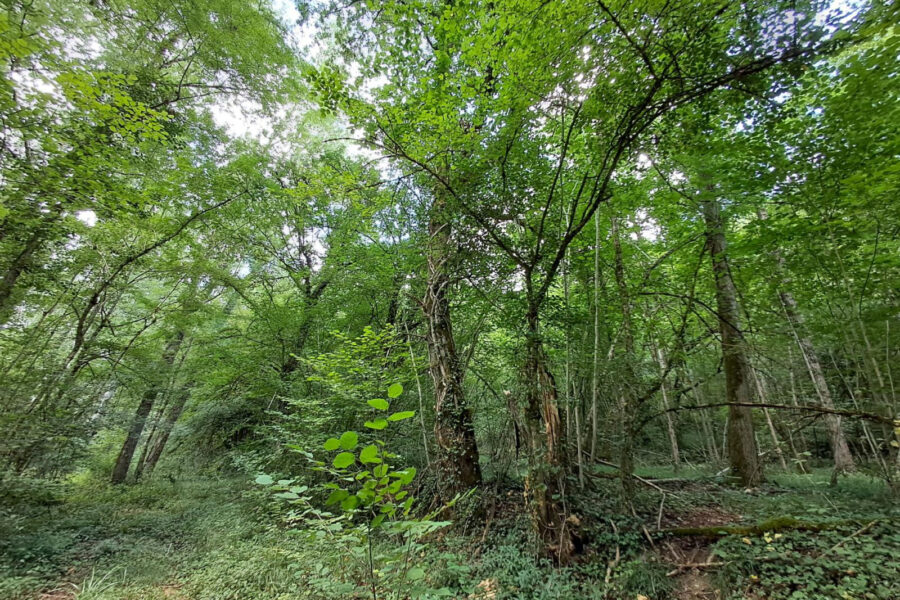 Terrain à vendre à Prayssas — Vue nature — photo 1