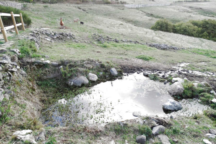 Maison à vendre à Mézilhac — Vue nature — photo 10