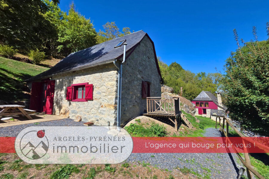 Maison à vendre à Argelès-gazost — Vue montagne — photo 11