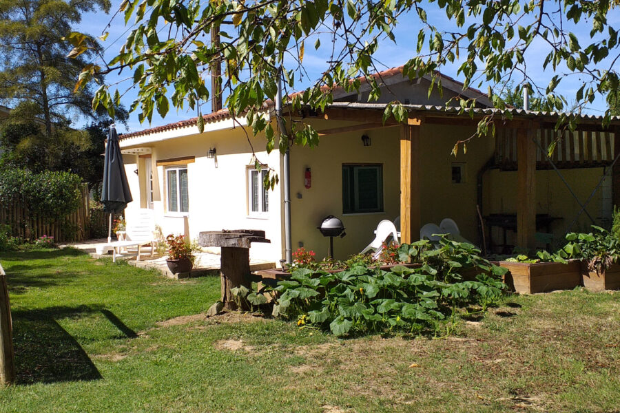 Maison à vendre à Saint-nicolas-de-la-grave — Vue parc & jardin — photo 19