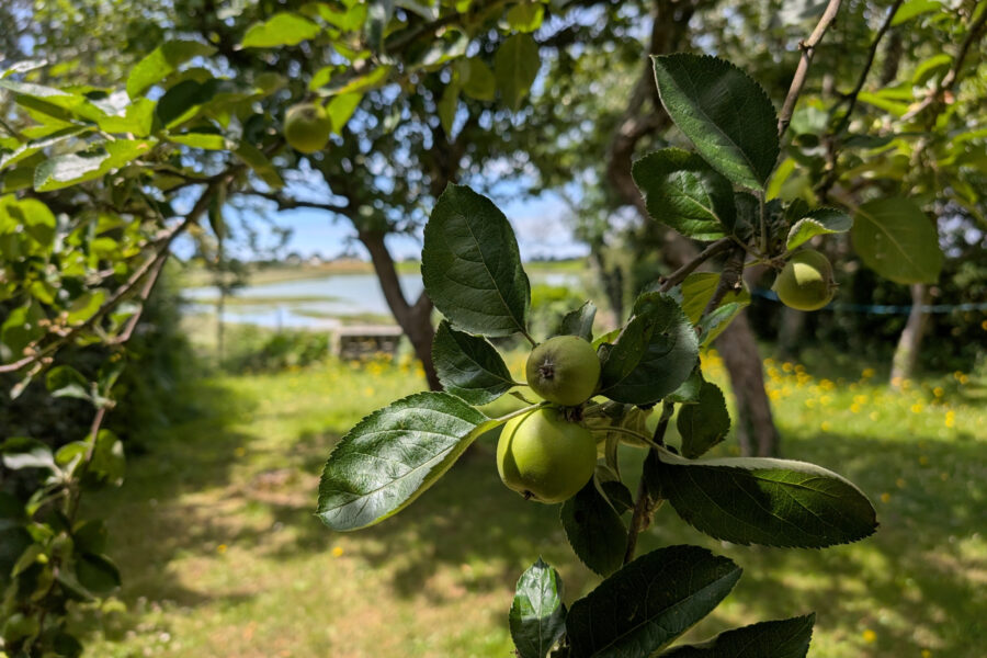 Maison à vendre à Le hézo — Vue fleuve — photo 9
