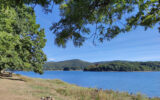 Terrain à vendre à La salvetat-sur-agout — Vue lac — photo 15